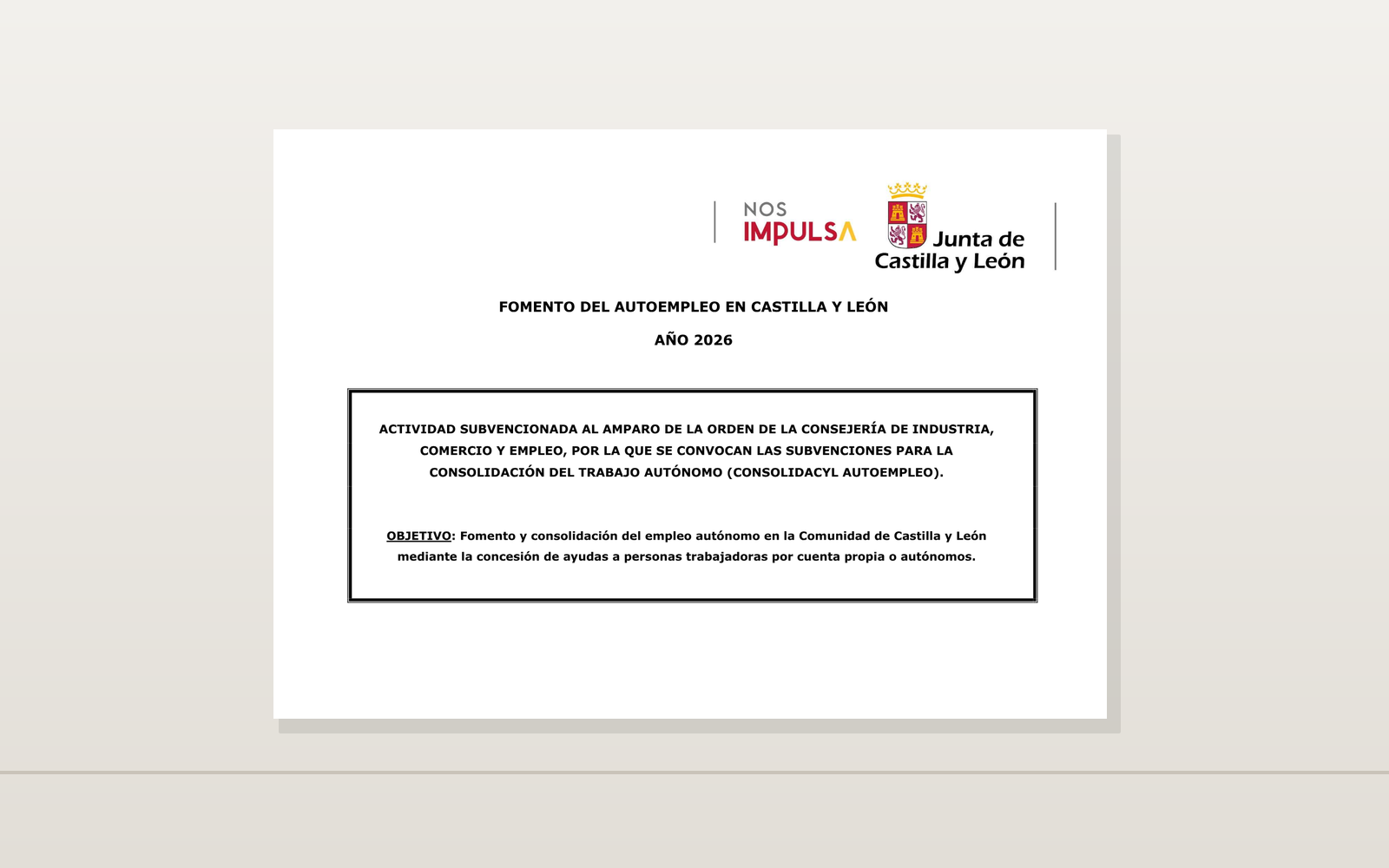 Ejemplo contextual de Cartel CONSOLIDACYL Autoempleo 2026 de Castilla y León