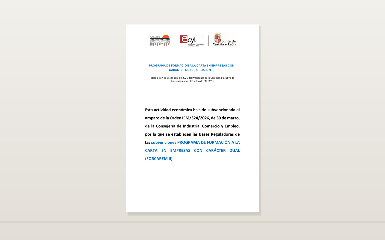 Ejemplo contextual de Cartel FORCAREM II 2026 de Castilla y León · modelo I