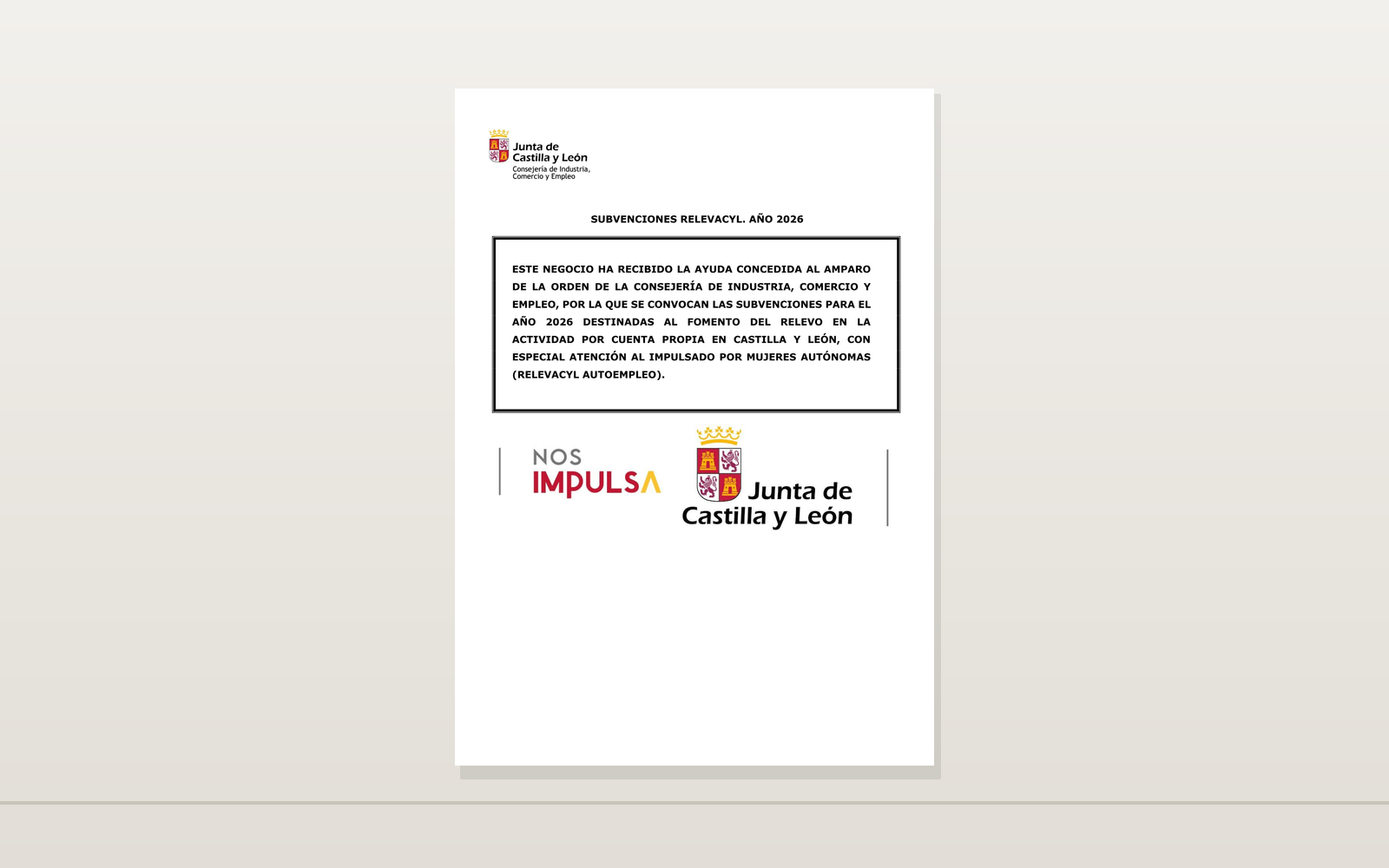 Ejemplo contextual de Cartel RELEVACyL Autoempleo 2026 de Castilla y León