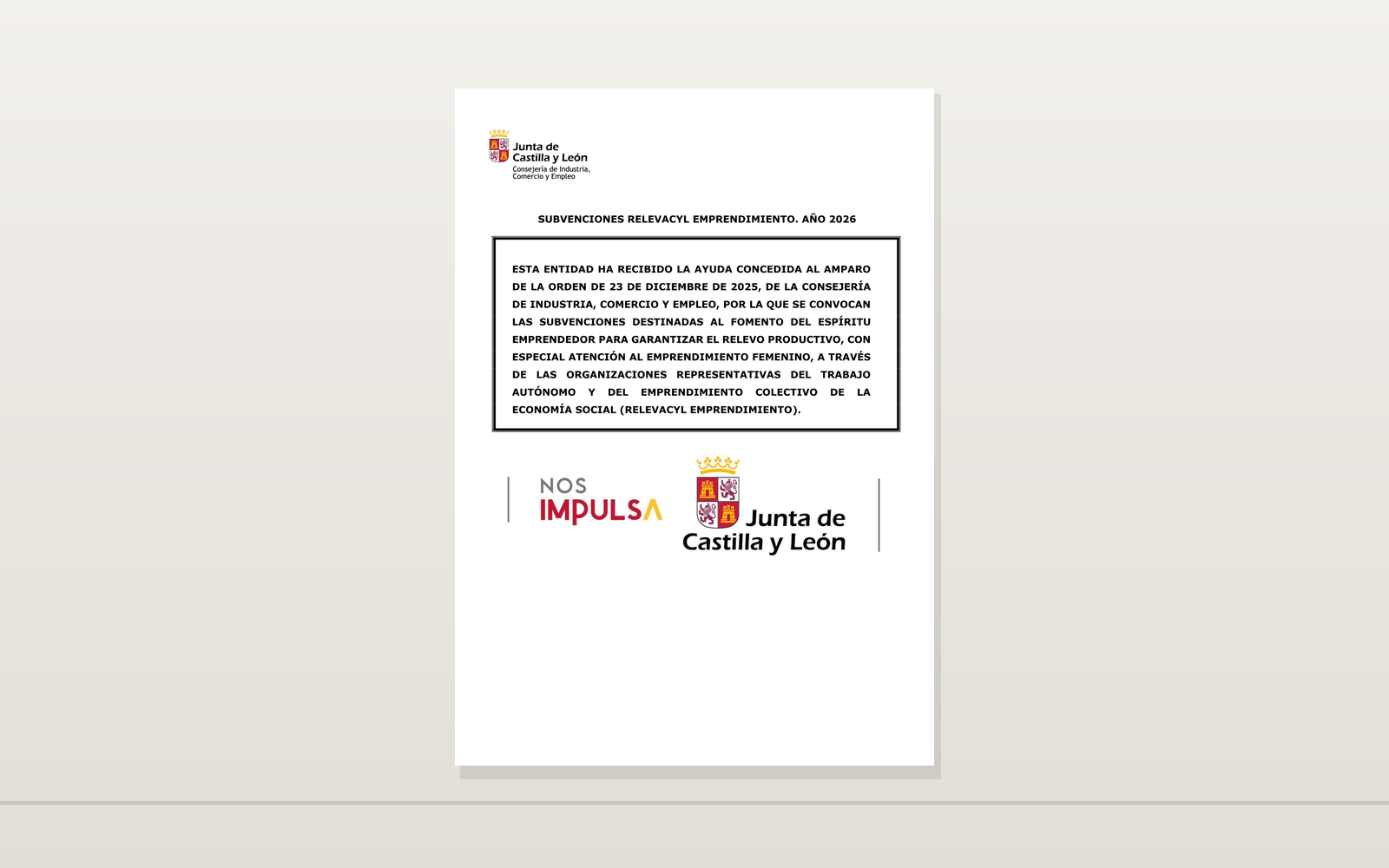 Ejemplo contextual de Cartel RELEVACyL Emprendimiento 2026 de Castilla y León