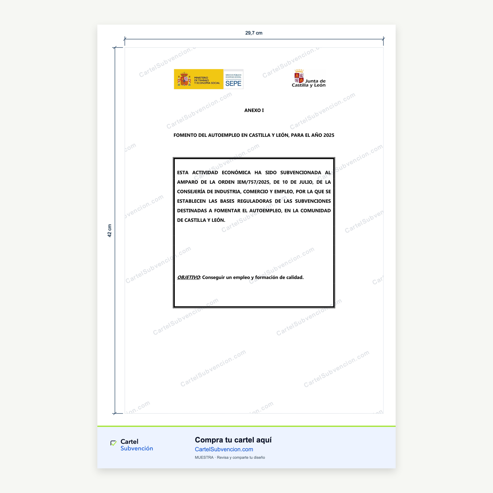 Cartel Autoempleo Castilla y León 2025